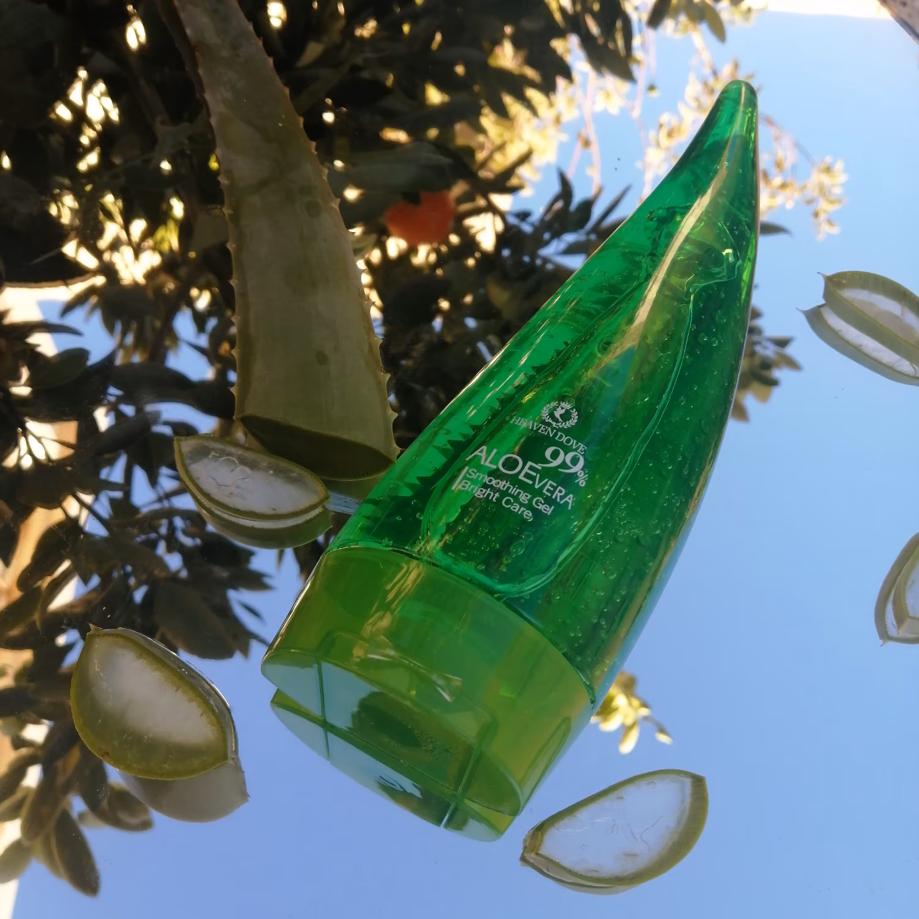 ژل آلوئه ورا (ژل اصلاح) مناسب برای پوست و مو250 گرم