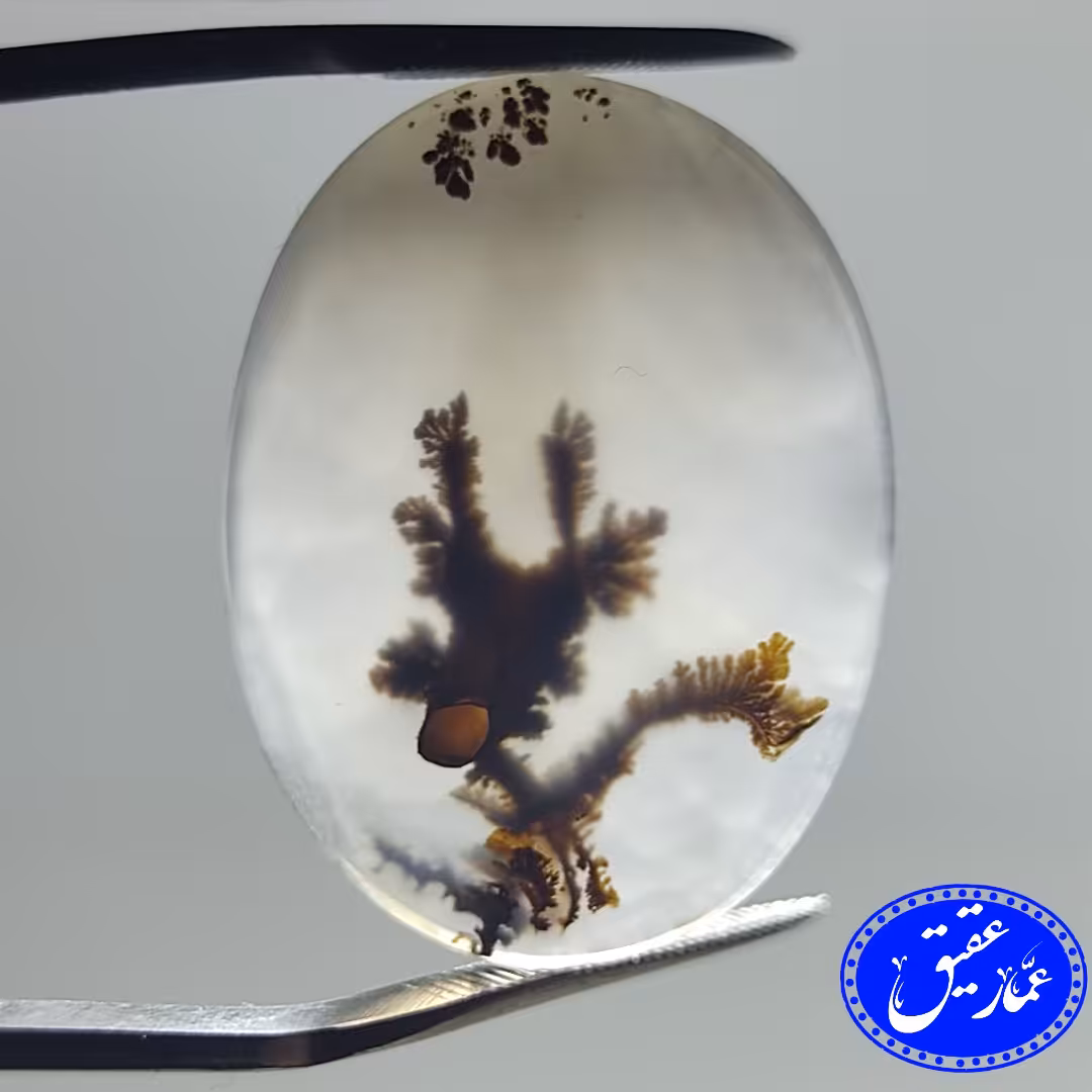 نگین عقیق مصور سر گوزن (شجر قائن)