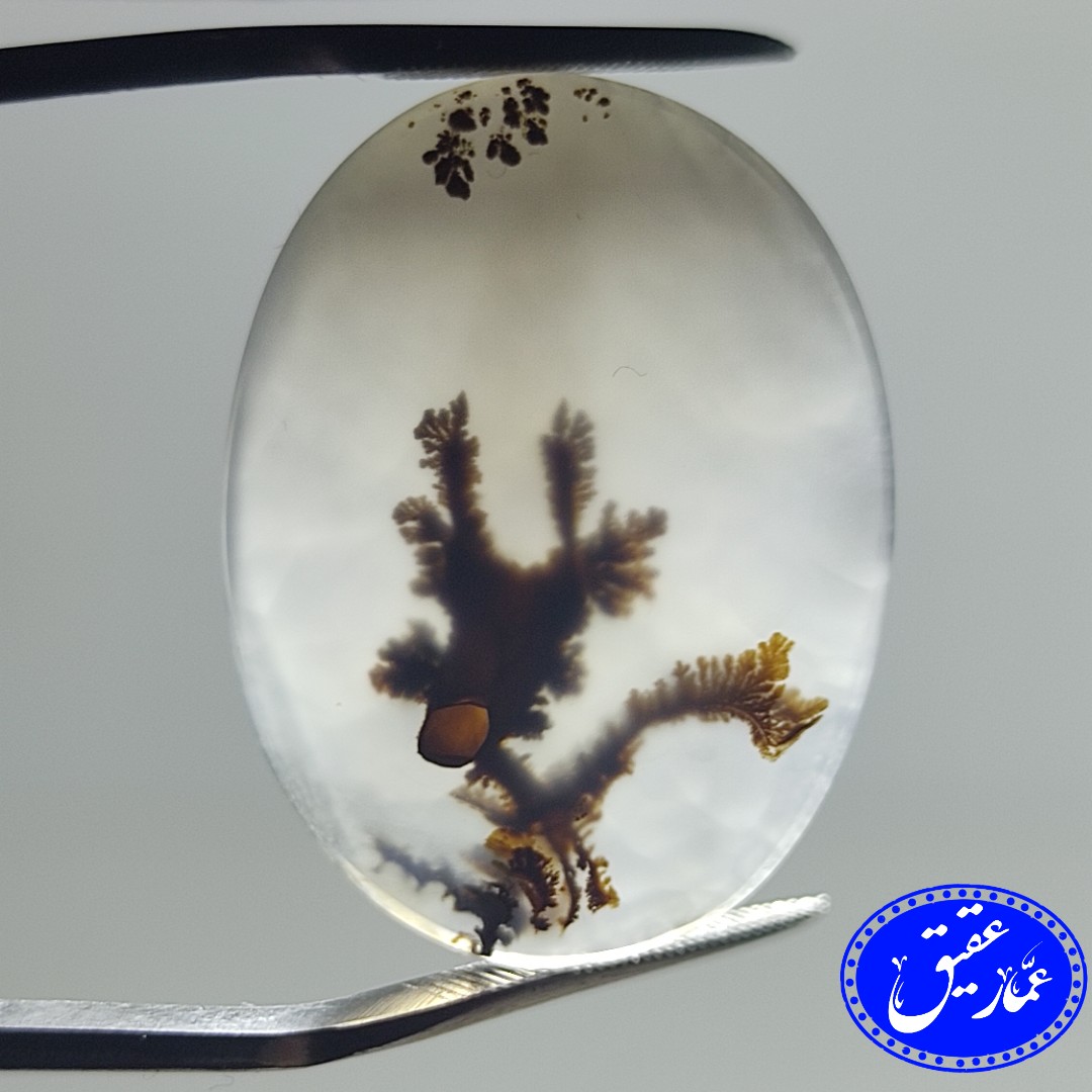 نگین عقیق مصور سر گوزن (شجر قائن)