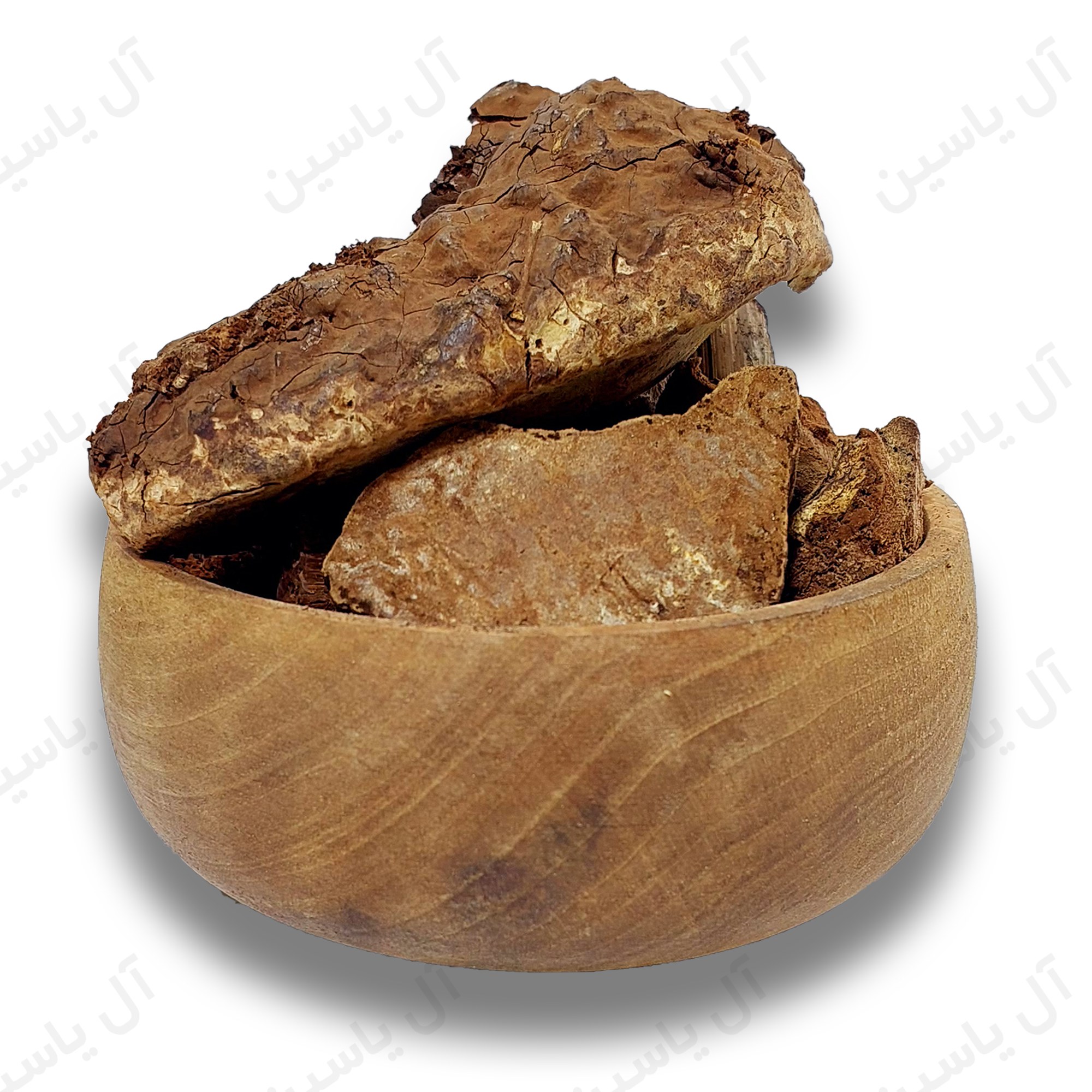 گانودرما 50گرمی