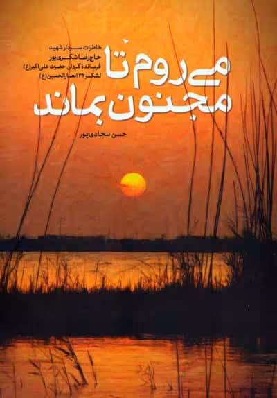 می روم تا مجنون بماند (خاطرات سردار شهید حاج رضا شکری پور)