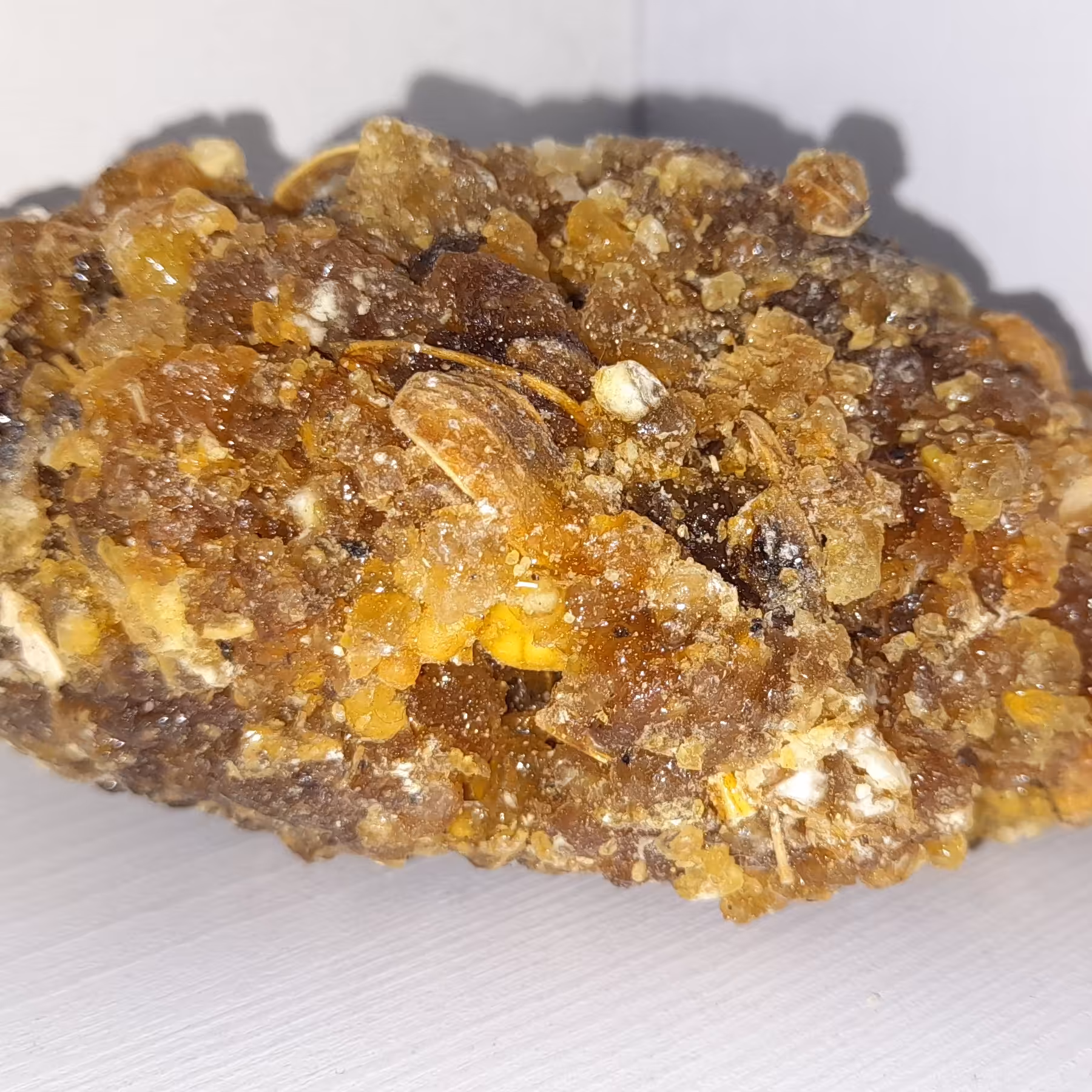  صمغ  گیاه باریجه (تازه)جوشیر ،جاوشیر،گاوشیر،100گرم