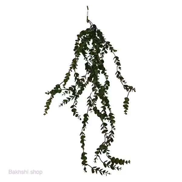 آویز بوته شمشاد معمولی