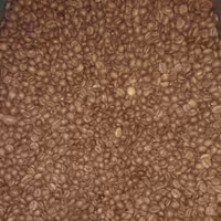 دانه قهوه ویتنام