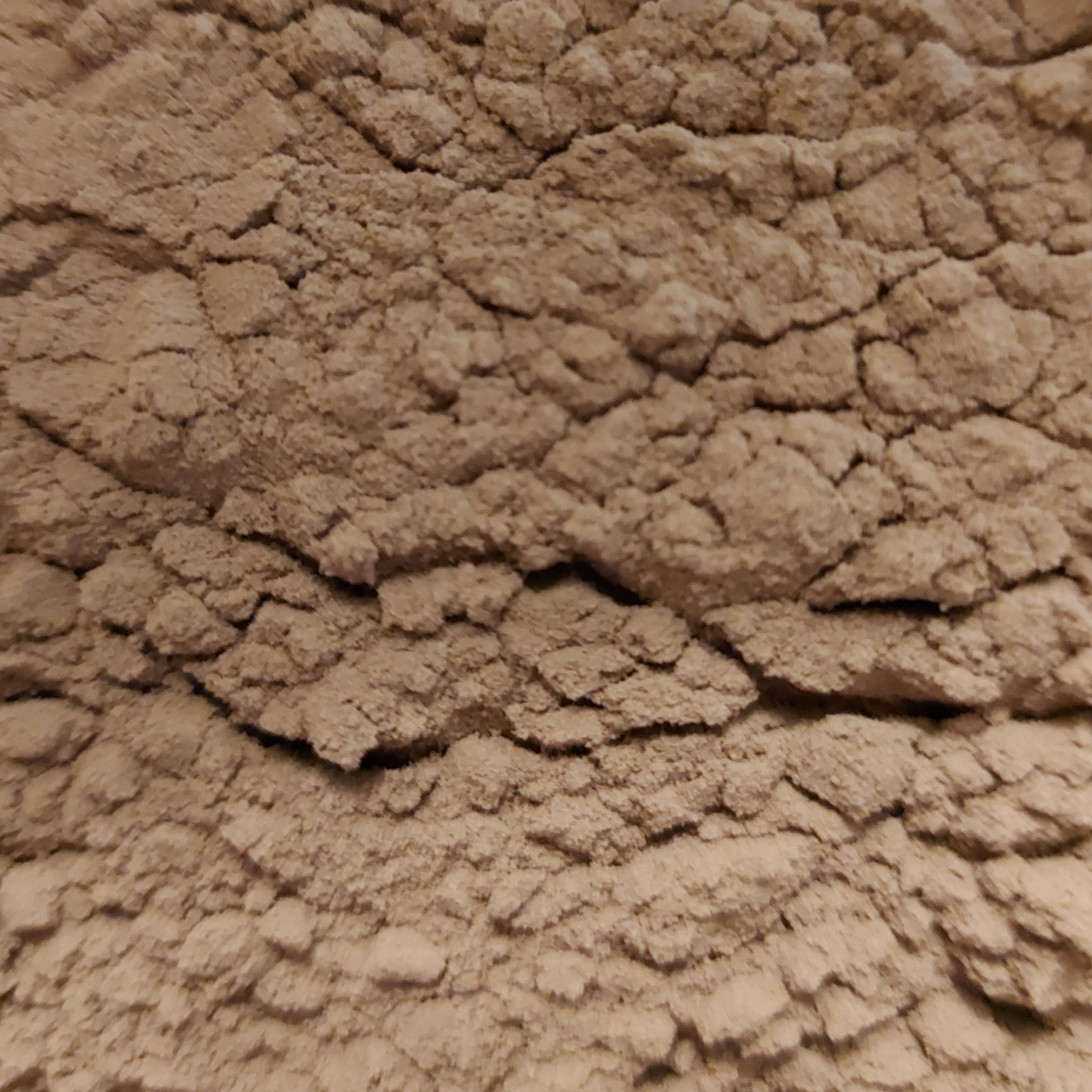 پودر عصاره ی شیرین بیان مرغوب ( 50 گرمی ) مقوی معده
