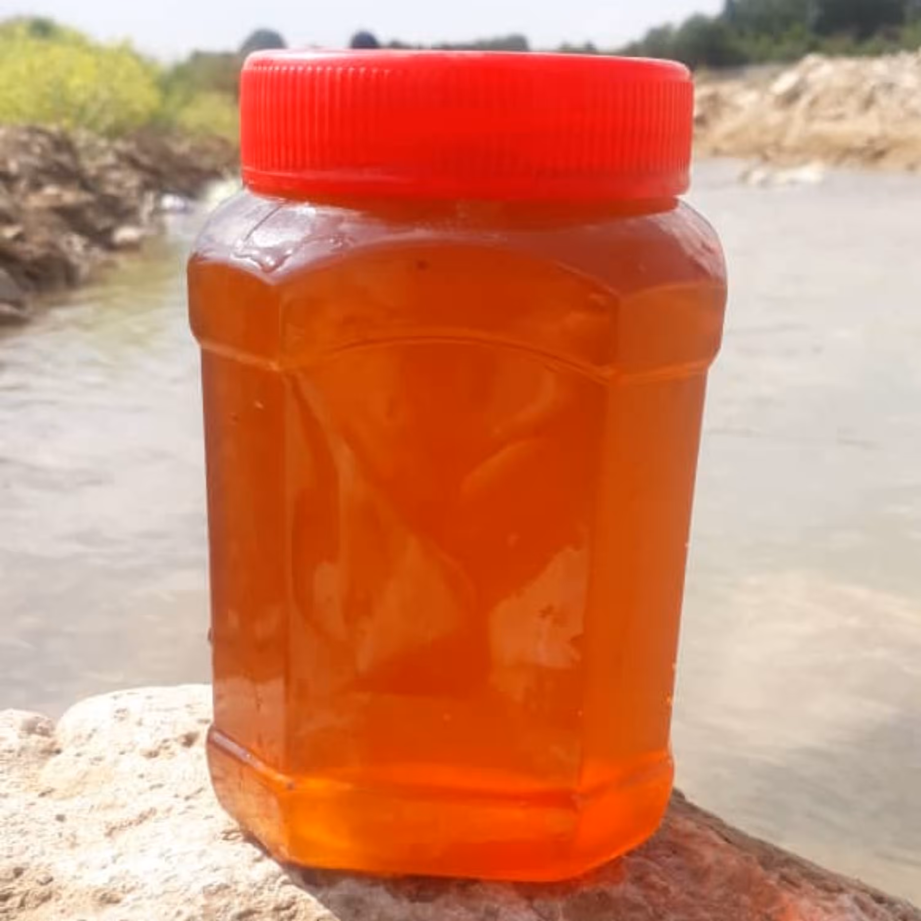 چهل گیاه خالص (اصل)