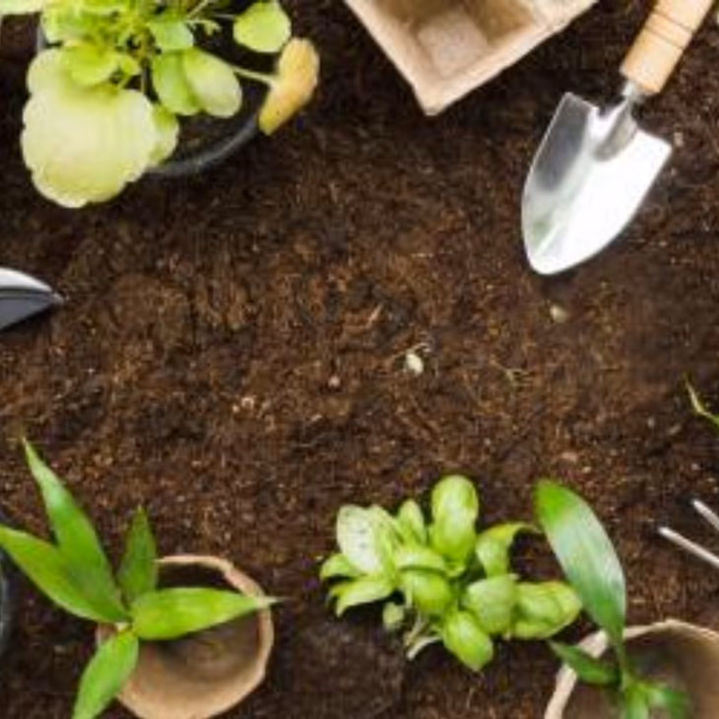 10 کیلو خاک باغچه سبک و مقوی