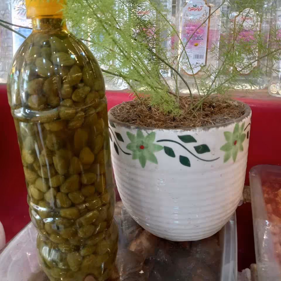 ترشی کاپاریس ،ترشی گل هندوانه ابوجهل یک کیلوگرمی