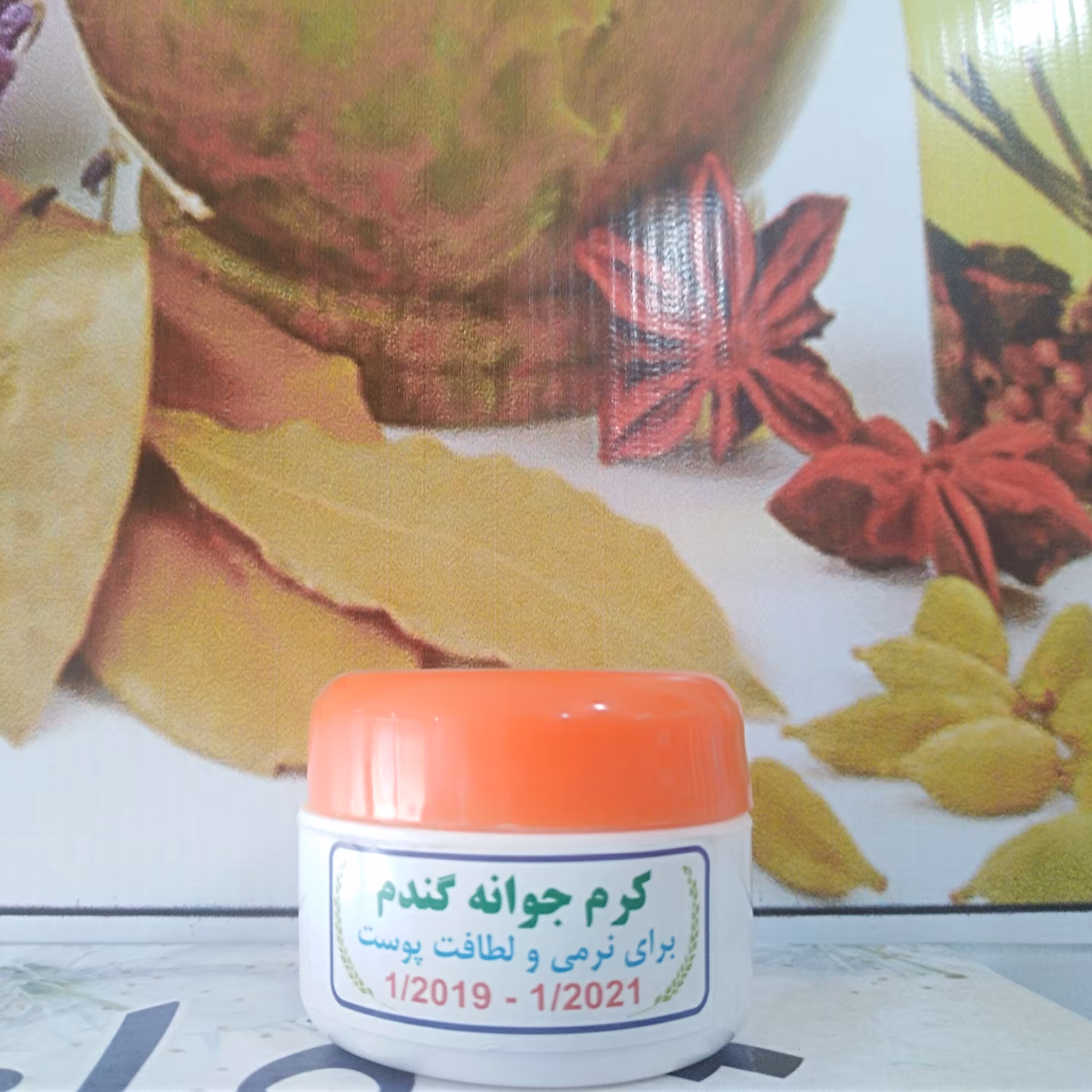 کرم جوانه گندم