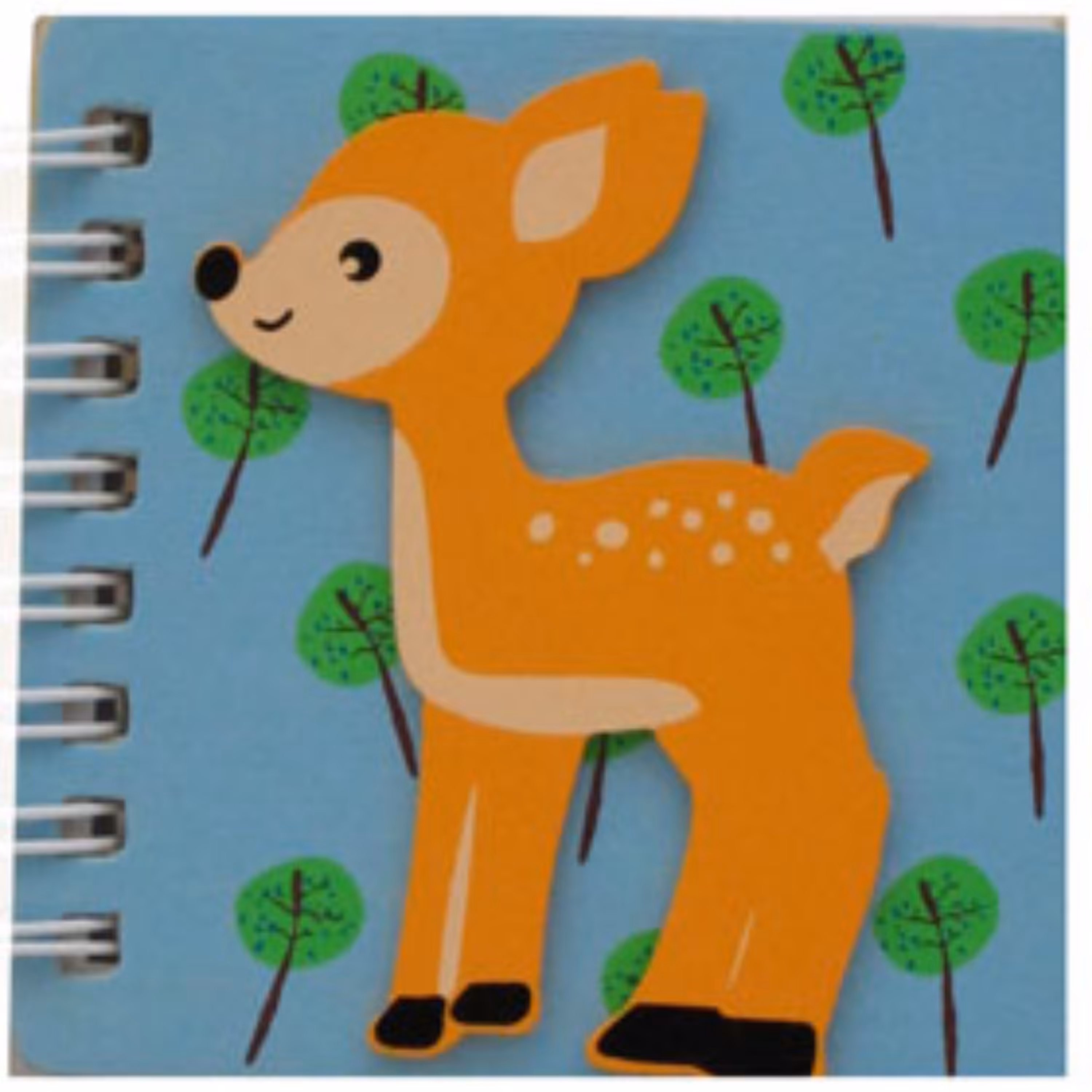 دفترچه سیمی کوچک پیکاردوDF-061