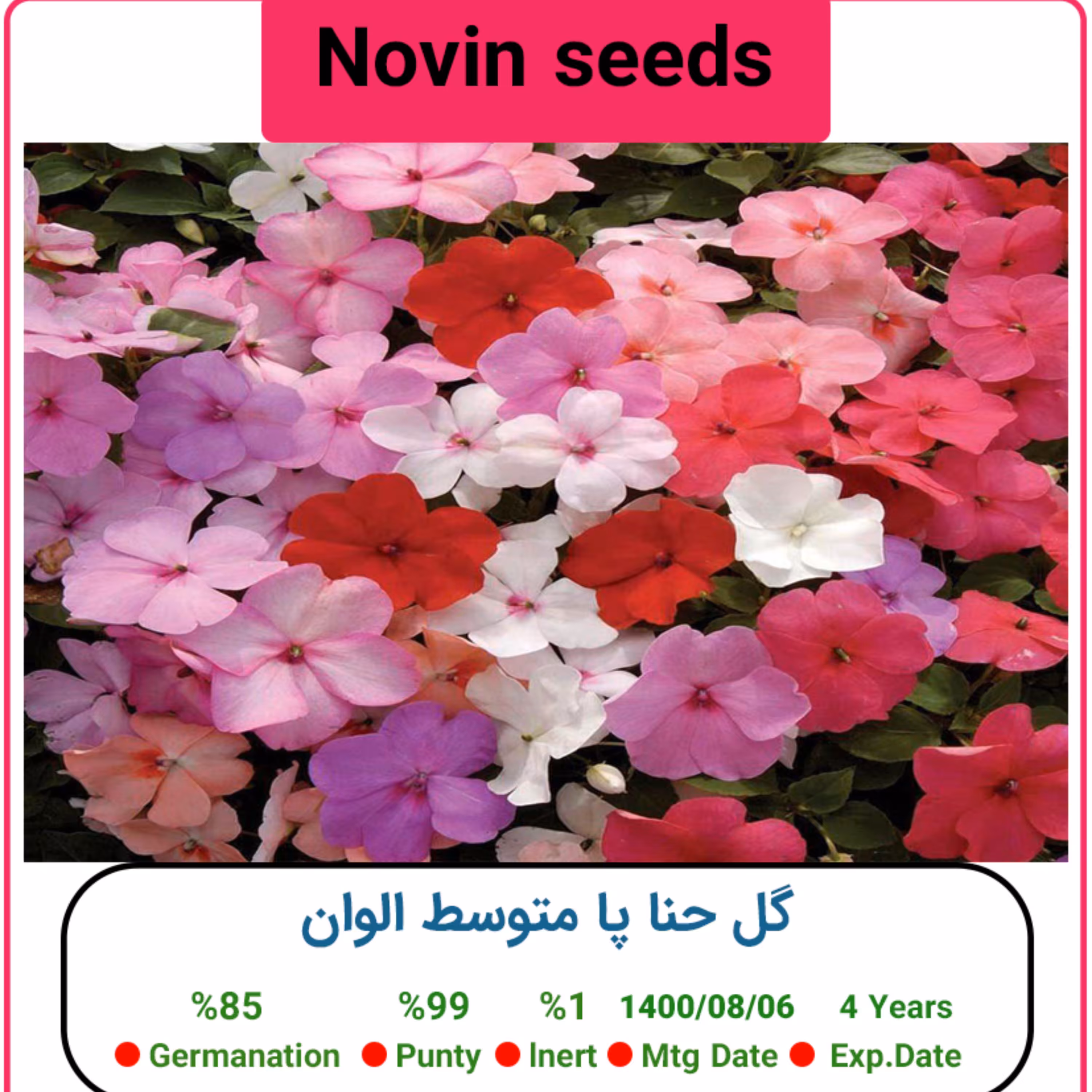 بذر گل حنا پا متوسط الوان