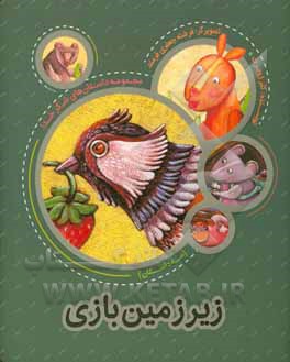 کتاب زیر زمین بازی