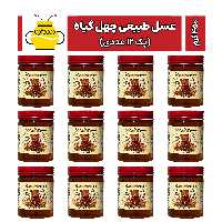 عسل طبیعی چهل گیاه 450 گرمی (پک 12 عددی) سوژین