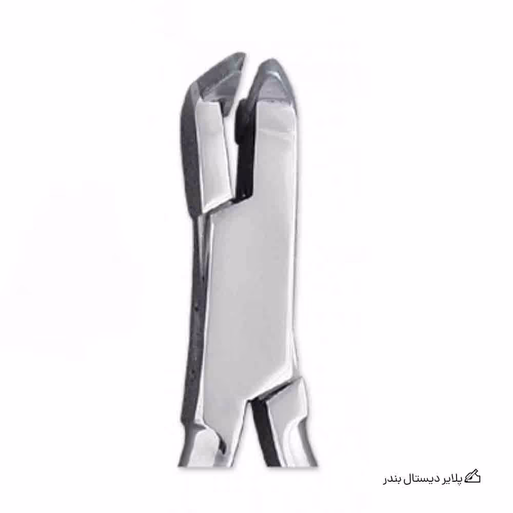 پلایر دیستال بندر