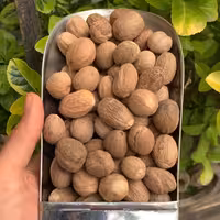 جوزهندی اعلا 1 کیلویی آقای زعفران