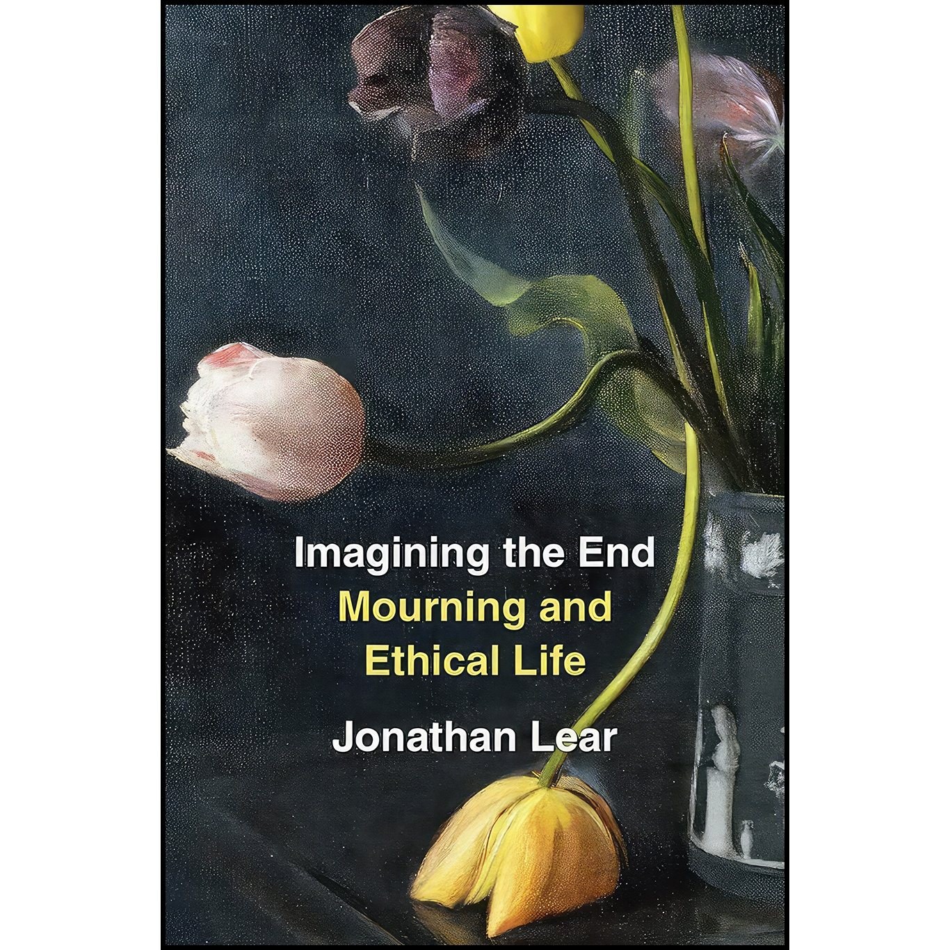 کتاب زبان اصلی Imagining the End اثر Jonathan Lear