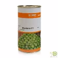 بذر هندوانه مونتانا نانهمز