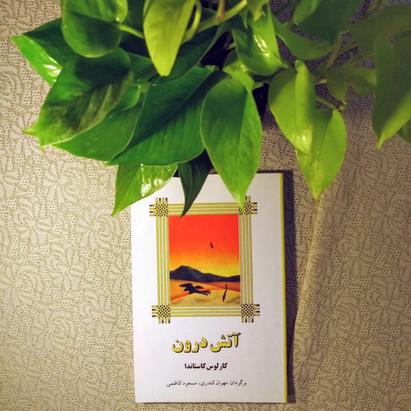کتاب آتش درون اثر کارلوس کاستاندا