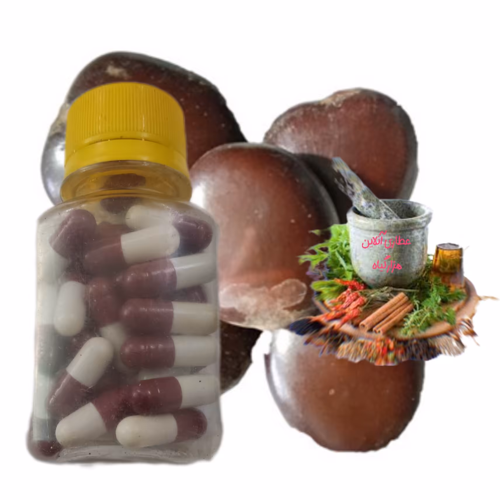 پودر دانه  های گیاه کمر 