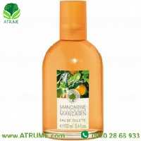 عطر ادکلن ایو روشه ماندرین د ایتالی 100 میل زنانه