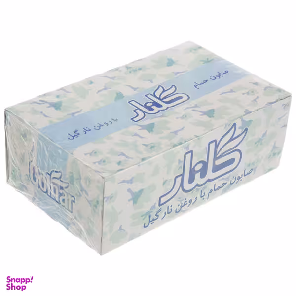 صابون حمام سبز گلنار مدل نارگیل وزن 130 گرم بسته 6 عددی