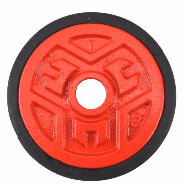 وزنه دمبل 1 کیلوگرمی کد X2