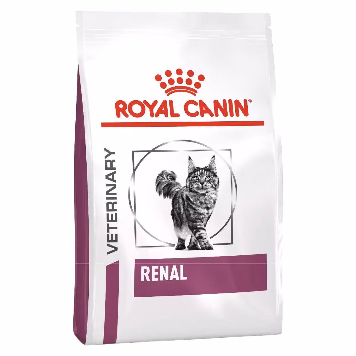 غذای خشک گربه رویال کنین مدل Royal Canin Renal Dry Cat Food وزن 2 کیلویی