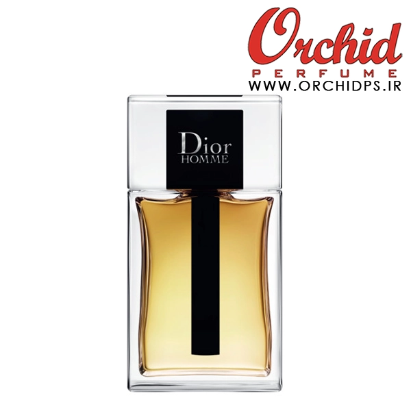 DIOR Dior Homme 2020