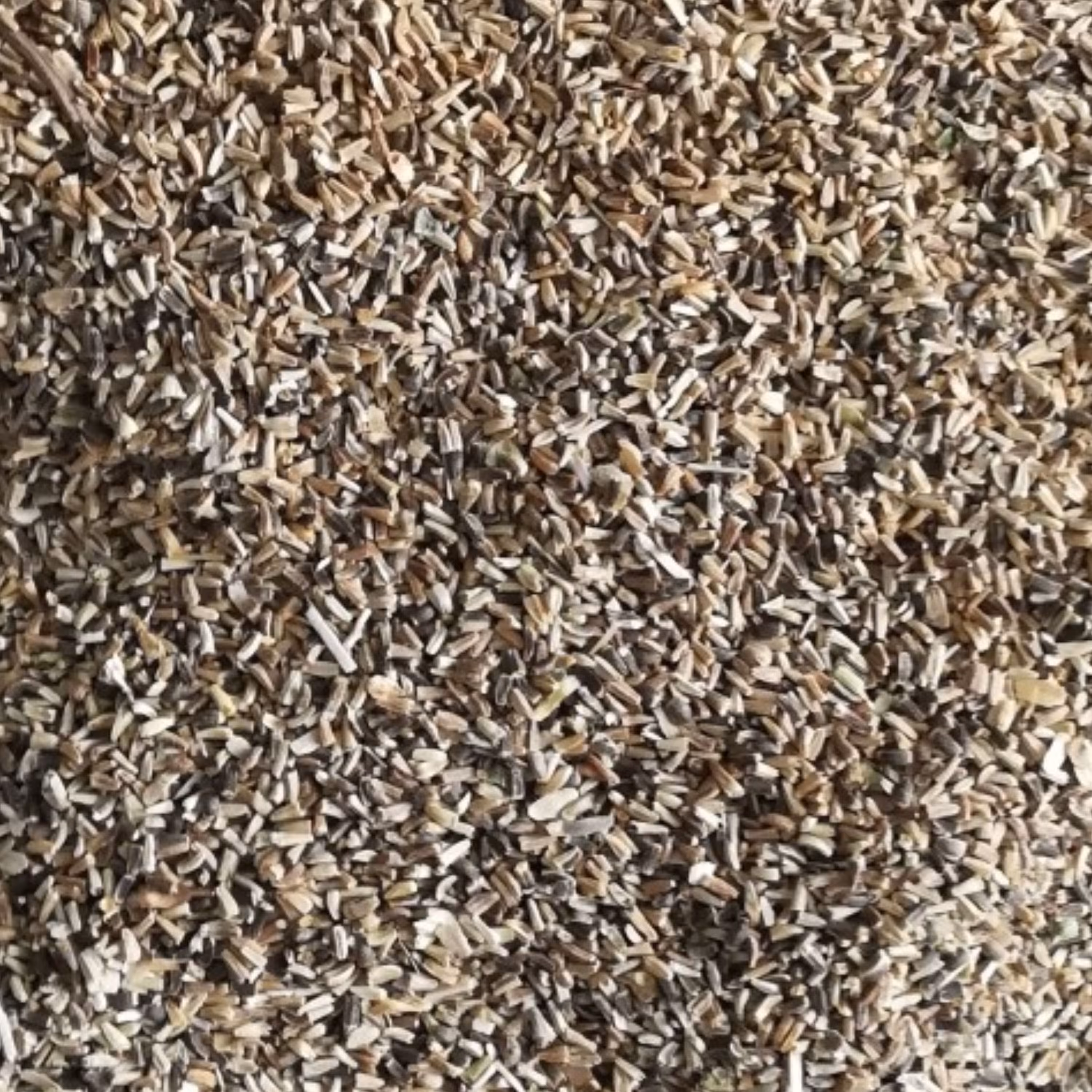 تخم کاسنی(300گرمی)
