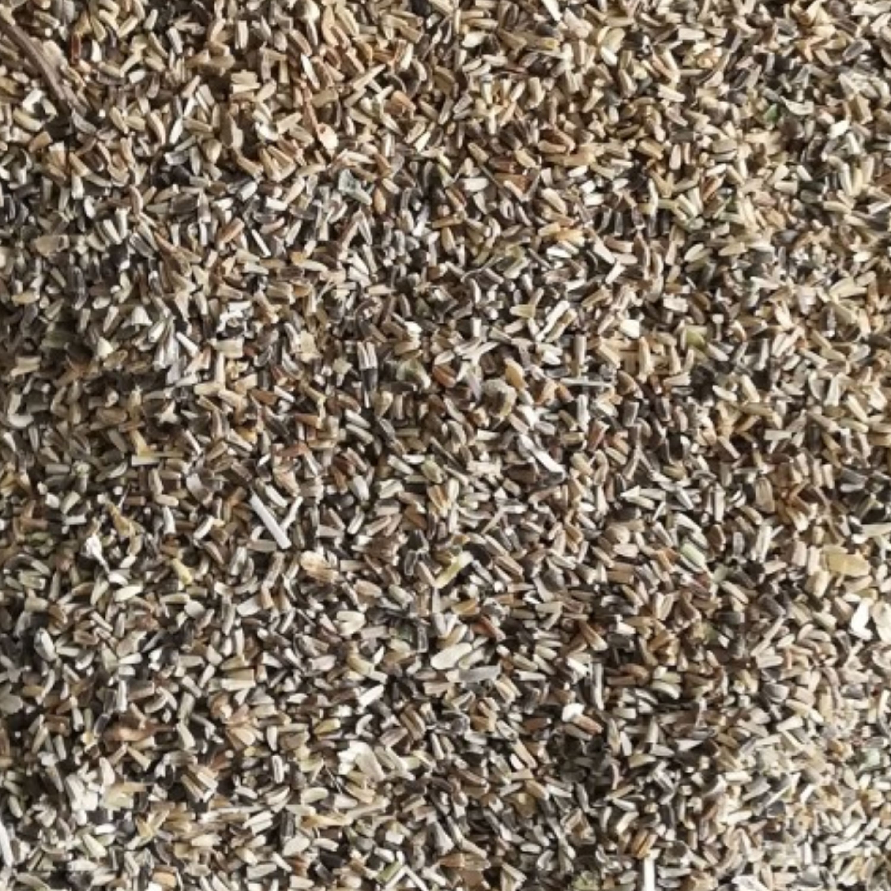 تخم کاسنی(300گرمی)