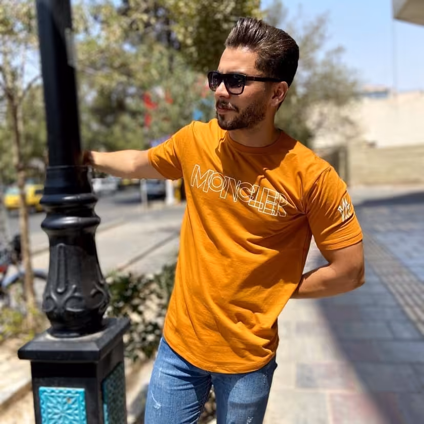 تیشرت مردانه استین کوتاه در رنگبندی استین کش جنس پنبه لطیف سایز لارج تن خور زیبا