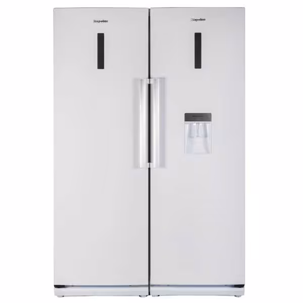 یخچال فریزر دوقلو دیپوینت مدل D4W