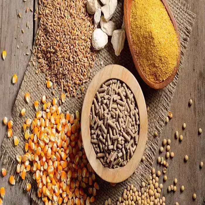 طرح توجیهی تولید خوراک دام و طیور - Tarhtojihi.org