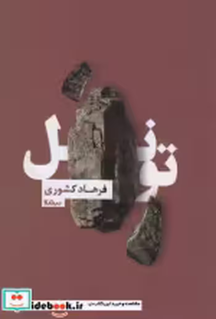 قیمت و خرید کتاب تونل اثر فرهاد کشوری | ایده بوک