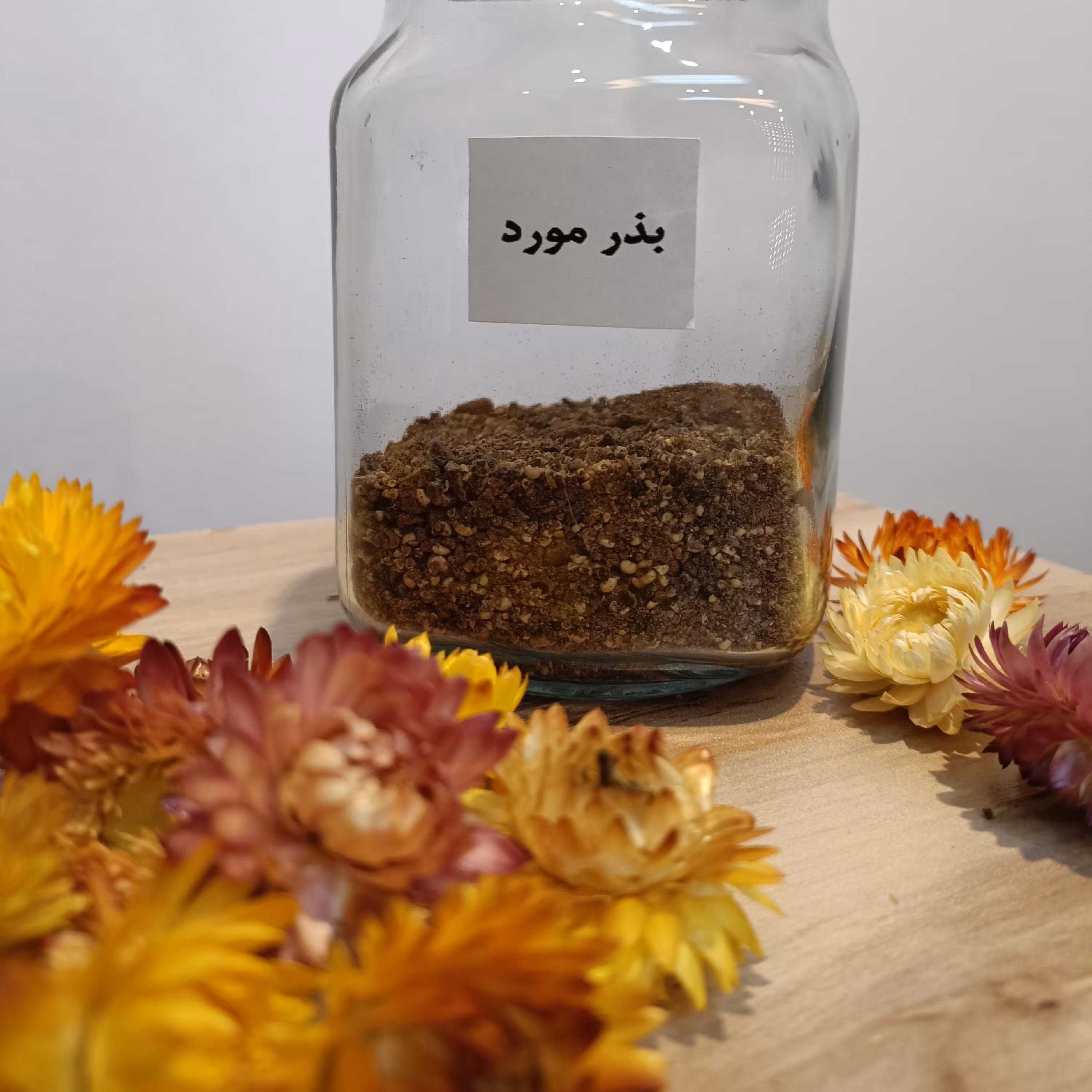 گیاه بذر مورد (مورت) 75 گرمی