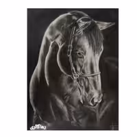 تابلو سیاه قلم اسب همراه با ارسال رایگان به سراسر نقاط ایران عزیز 
