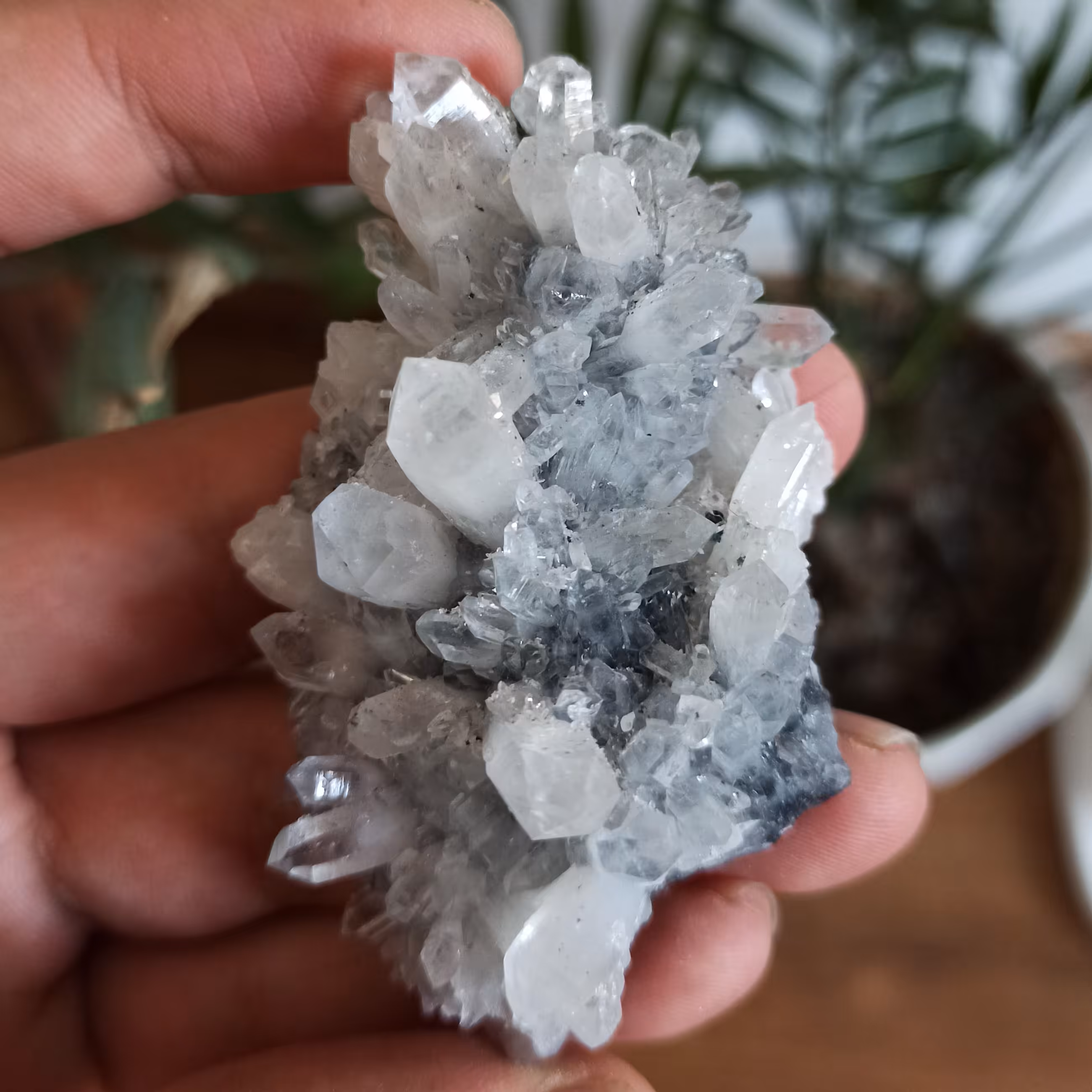 کلاستر سنگ کوارتز کلکسیونی کد 757