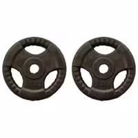 وزنه هالتر مدل sh2.5 وزن 2.5 کیلوگرم بسته 2 عددی