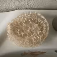 زیر صابونی لوفا ☘️ مدل متخلخل