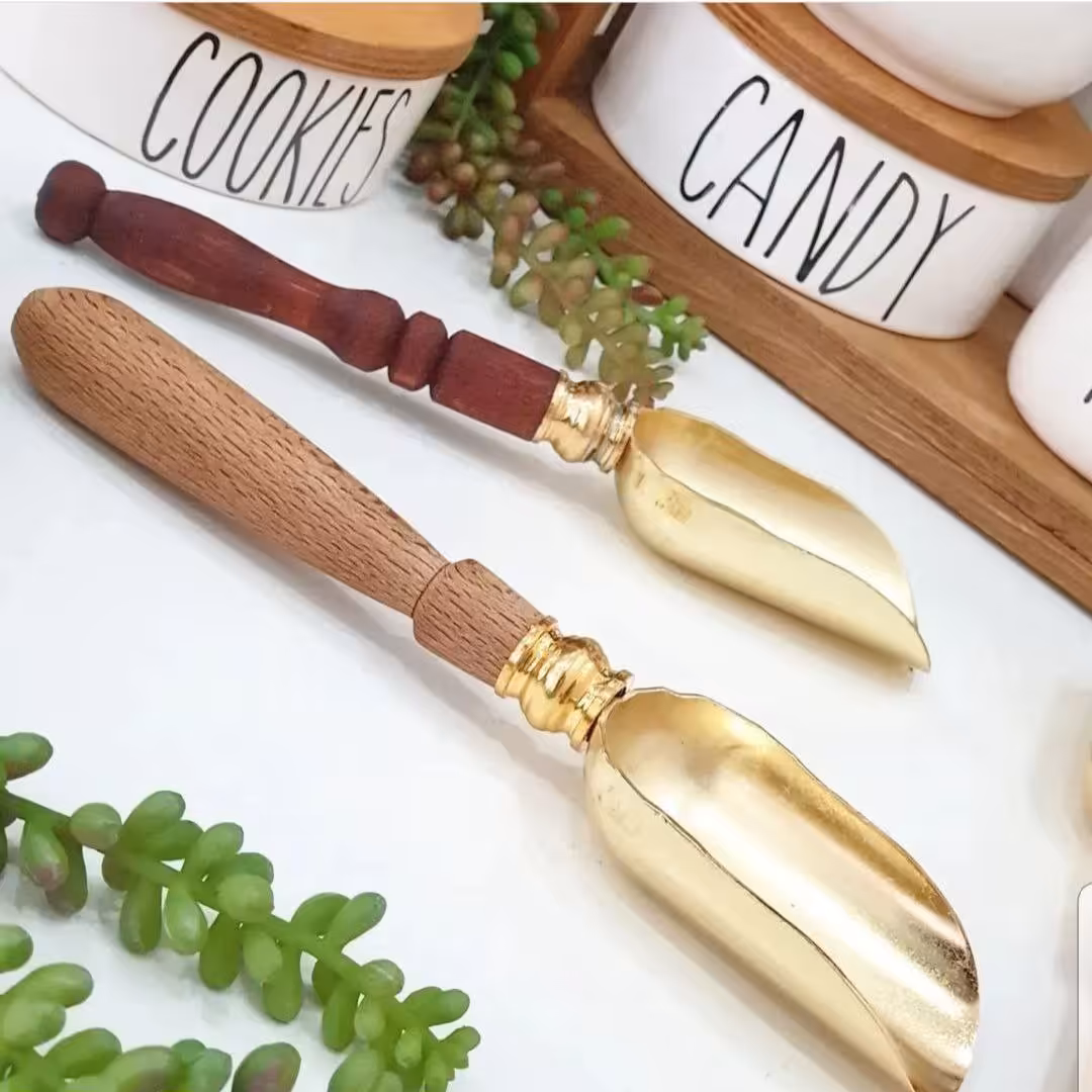 قاشق اجیل دسته چوبی