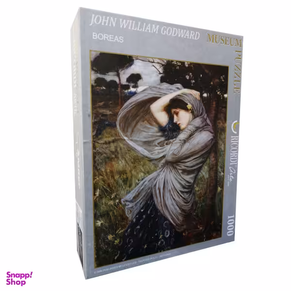 پازل 1000 تکه ریکوردی (Recordi) طرح باد شمالی کد 350