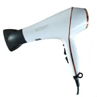 سشوار حرفه ای موزر فورمن مدل MS-5515