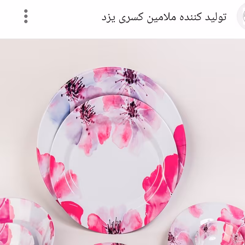 بشقاب  یا خورشت خوری ملامین طرح لیون