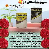 سویق بزرگسال لارا