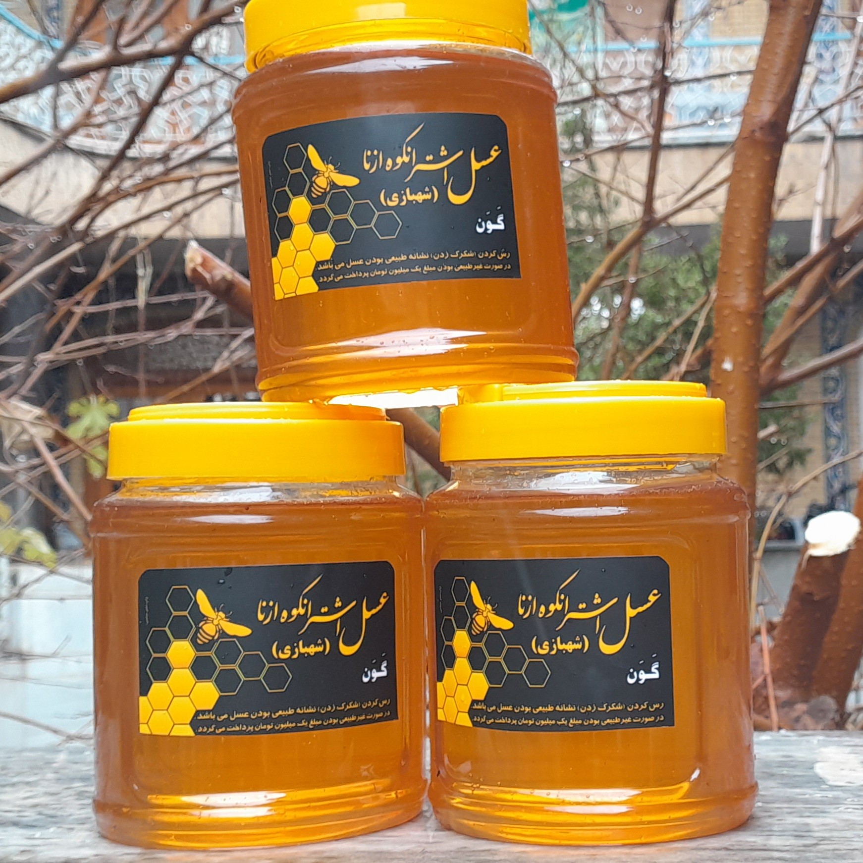 عسل