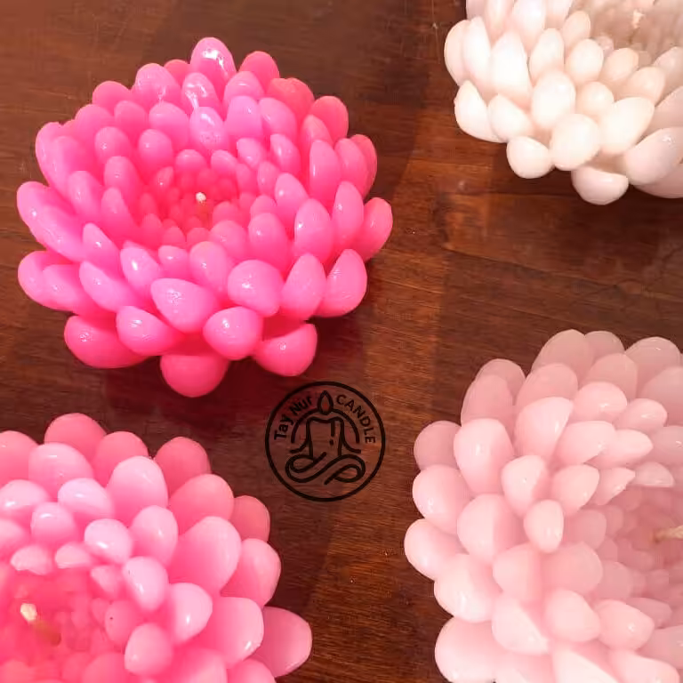 شمع گل داوودی