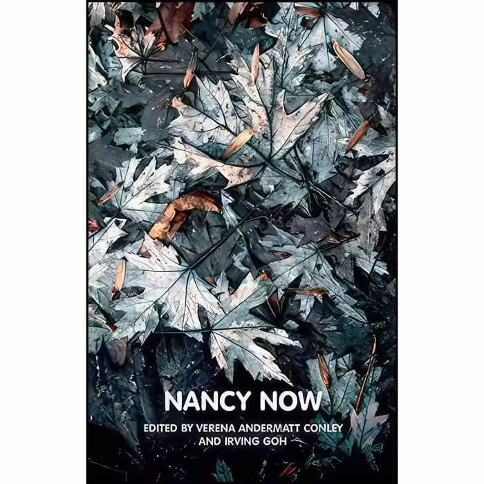 کتاب زبان اصلی Nancy Now  اثر Verena Conley and Irving Goh انتشارات Polity