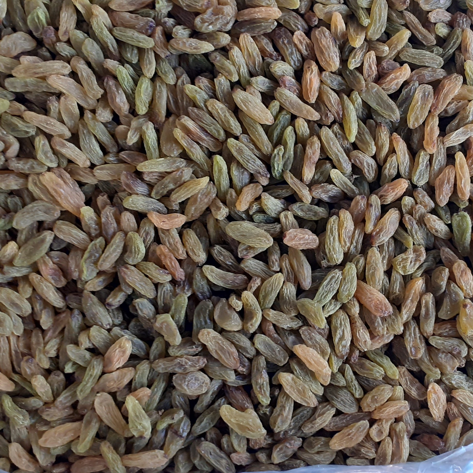 کشمش سبز یک کیلویی