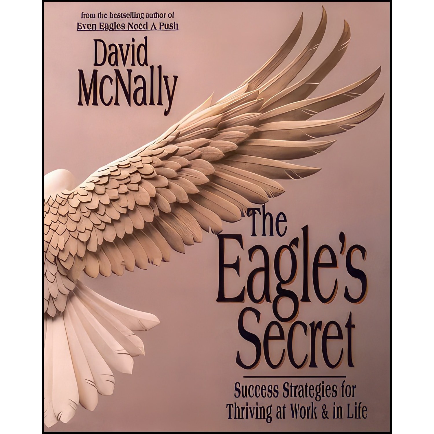 کتاب زبان اصلی The Eagles Secret اثر David McNally