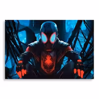 تابلو شاسی طرح مرد عنکبوتی مدل NV0228